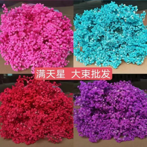 永生花半乾滿天星家居婚慶裝飾擺件花束拍攝道具禮物製作插花