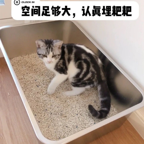 不鏽鋼專用沙貓砂盆收餐巨大沙盆超大號配蓋帶耳把手食品周轉方盆