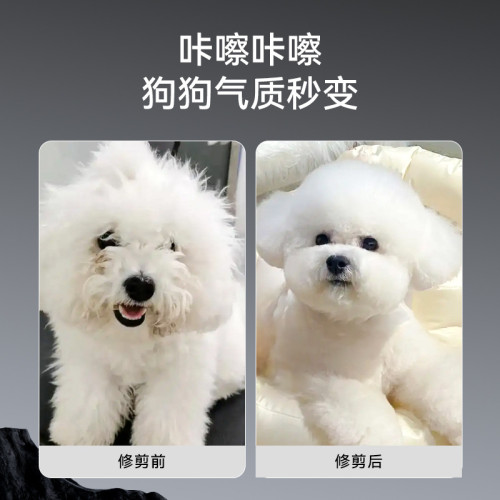 不鏽鋼6cr寵物美容剪刀7寸狗狗美毛剃毛專用專業貓咪寵物理髮工具