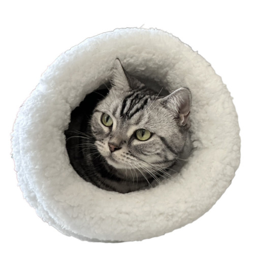 貓咪專用冬季保暖半封閉寵物睡袋幼貓貓窩四季被子貓咪通用貓被窩 貓咪專用冬季保暖半封閉寵物睡袋幼貓貓窩四季被子貓咪通用貓被窩