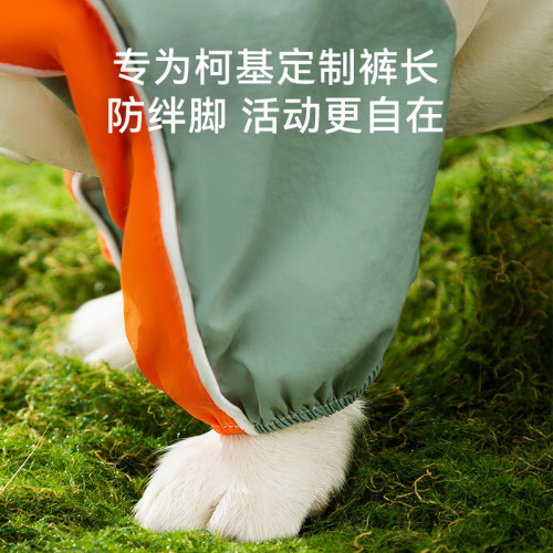 狗狗外出防水小小思想家柯基雨衣中小型犬全包防水四腳寵物狗雨衣