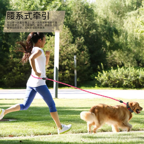 新款狗狗牽引繩 泰迪金毛寵物狗鏈 2米3米加長大型中型犬狗鏈