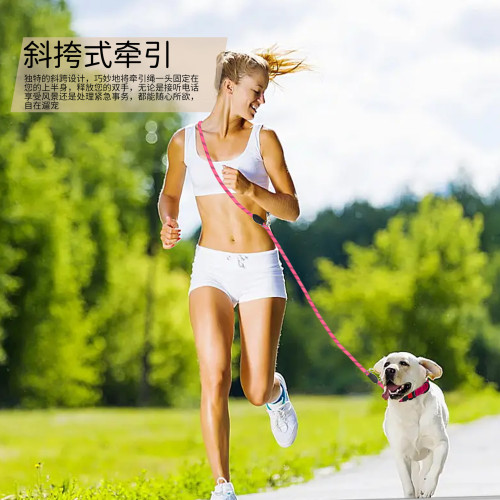 新款狗狗牽引繩 泰迪金毛寵物狗鏈 2米3米加長大型中型犬狗鏈