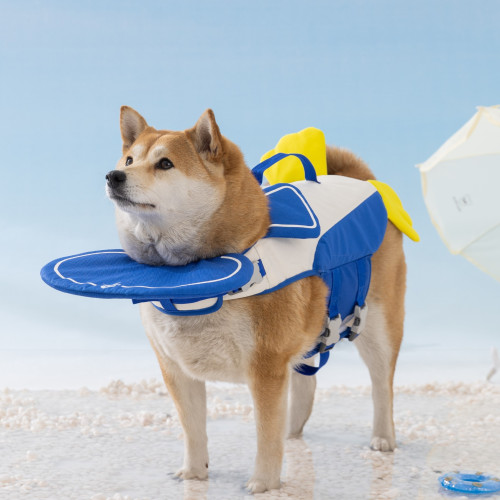 夏季狗狗可愛小企鵞救生衣泰迪中小型犬遊泳狗衣服寵物大浮力泳衣