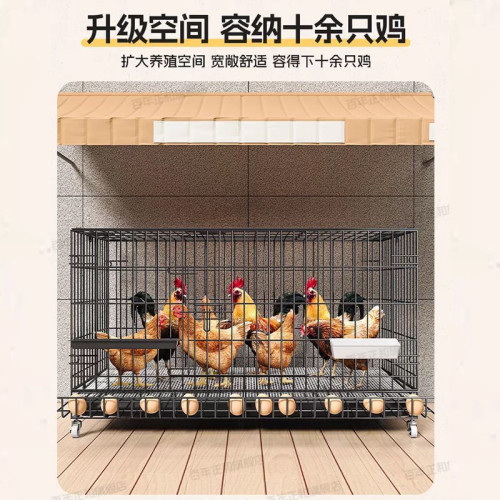 雞籠子家用養雞籠大號特大號自動清糞折曡養殖籠雞捨鐵絲網鴨鵞籠 雞籠子家用養雞籠大號特大號自動清糞折曡養殖籠雞捨鐵絲網鴨鵞籠