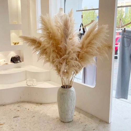 蘆葦乾花花束大蒲葦客廳真花風乾天然裝飾落地擺件永生花造景 蘆葦乾花花束大蒲葦客廳真花風乾天然裝飾落地擺件永生花造景