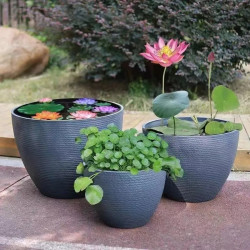 荷花塑膠特大號花盆樹脂加厚養魚種樹簡約蓮藕睡蓮庭院魚缸家用廠