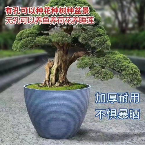 荷花塑膠特大號花盆樹脂加厚養魚種樹簡約蓮藕睡蓮庭院魚缸家用廠 荷花塑膠特大號花盆樹脂加厚養魚種樹簡約蓮藕睡蓮庭院魚缸家用廠