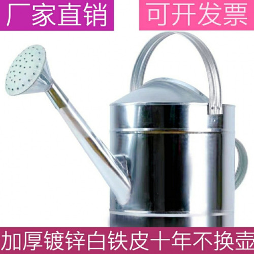 加厚大號大容量鐵皮灑水壺澆花水壺鐵皮灑水壺塑膠壺澆水壺家用廠 加厚大號大容量鐵皮灑水壺澆花水壺鐵皮灑水壺塑膠壺澆水壺家用廠