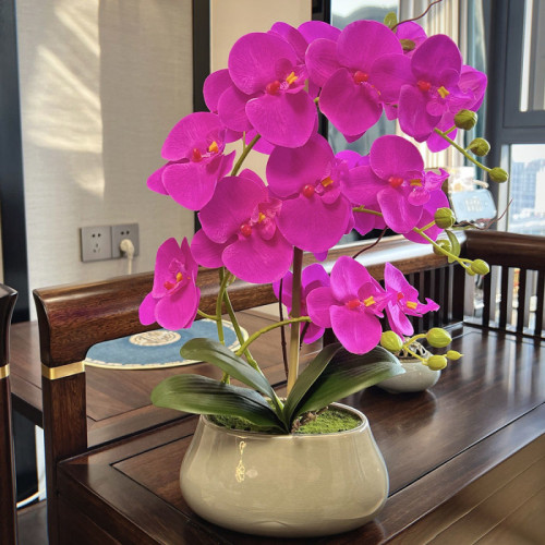 仿真花蝴蝶蘭仿真蘭花盆栽新款假花套裝客廳電視櫃中式陶瓷盆擺件 仿真花蝴蝶蘭仿真蘭花盆栽新款假花套裝客廳電視櫃中式陶瓷盆擺件