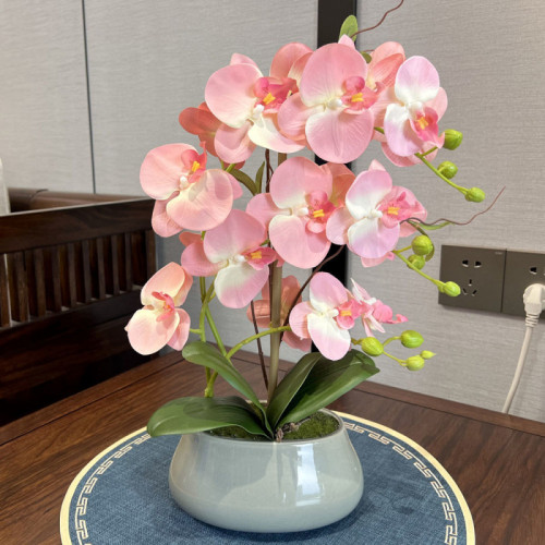 仿真花蝴蝶蘭仿真蘭花盆栽新款假花套裝客廳電視櫃中式陶瓷盆擺件 仿真花蝴蝶蘭仿真蘭花盆栽新款假花套裝客廳電視櫃中式陶瓷盆擺件