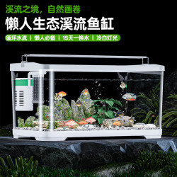 魚缸小型家用客廳生態魚缸有機玻璃金魚缸谿流魚缸懶人免換水魚缸
