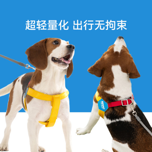 狗狗外出簡約透氣Y型胸背帶遛狗繩子中小型犬可調節寵物狗牽引繩