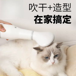 寵物吹風拉毛神器狗狗速乾一體蓬松吹風機貓咪泰迪洗澡吹乾美容
