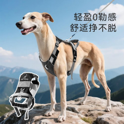 寵物牽引繩中大型犬邊牧金毛防爆沖雙環釦胸背帶透氣遛狗外出牽引