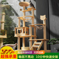 貓爬架寵物櫃太空艙貓咪別墅四季通用防黴櫃子大型佔地玩具一體
