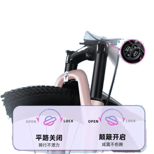 校園山地車自行車成人變速青少年越野減震單車女男輕量化賽車
