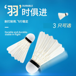 羽毛球鴨毛款娛樂訓練台纖球頭耐打優質球桶裝