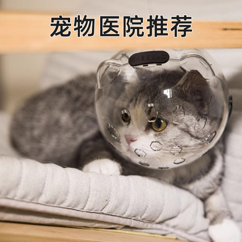 貓頭套貓咪伊麗莎白圈狗防咬太空頭罩洗澡剪指甲防抓防舔寵物神器
