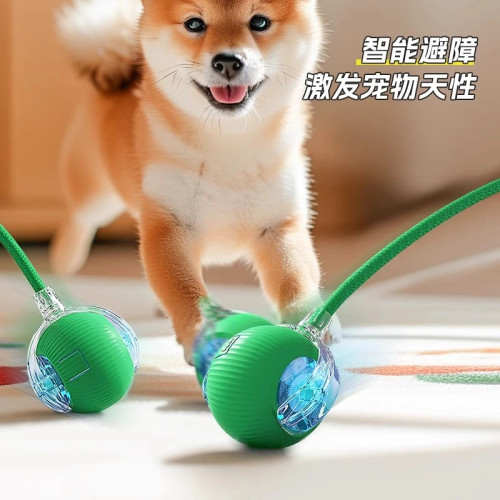 狗狗玩具自動遛狗球耐咬自嗨逗狗狗神器比熊小型犬寵物小狗突突球