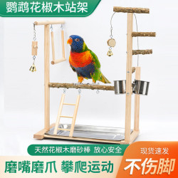 遊樂場牡丹虎皮鸚鵡花椒鳥架椰子殼秋千爬梯互動磨爪玩具站架