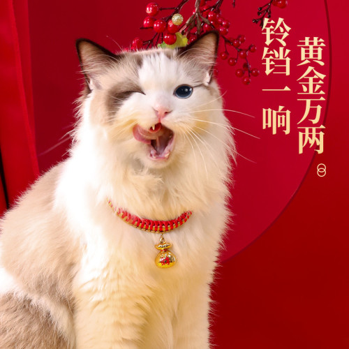 貓咪項圈新年貓鈴鐺長命鎖圍脖狗狗貓貓脖子飾品裝飾脖圈寵物項鍊