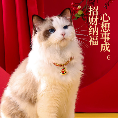 貓咪項圈新年貓鈴鐺長命鎖圍脖狗狗貓貓脖子飾品裝飾脖圈寵物項鍊
