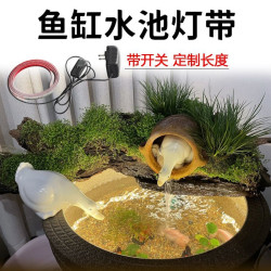 魚缸水缸燈帶水底燈條led低壓安全12v24v實心灌膠防水可泡水家用
