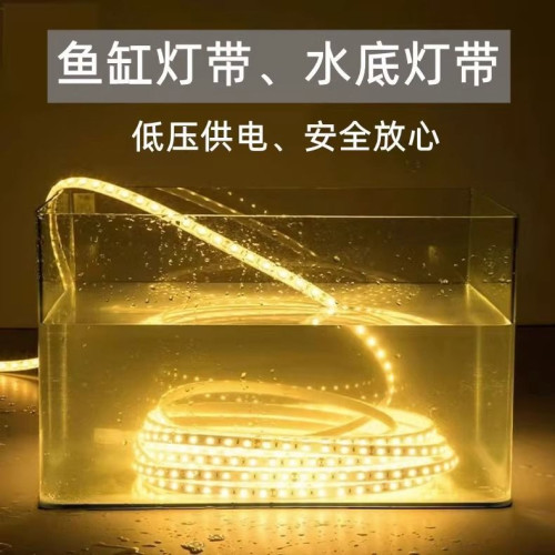 魚缸水缸燈帶水底燈條led低壓安全12v24v實心灌膠防水可泡水家用