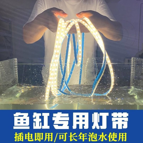 魚缸水缸燈帶水底燈條led低壓安全12v24v實心灌膠防水可泡水家用