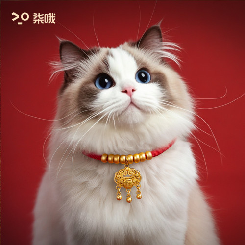 寵物貓咪項圈狗狗圍脖鈴鐺紅繩裝飾品項鍊貓咪長命鎖金鎖脖圈掛飾