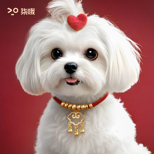 寵物貓咪項圈狗狗圍脖鈴鐺紅繩裝飾品貓咪長命鎖項鍊金鎖脖圈掛飾
