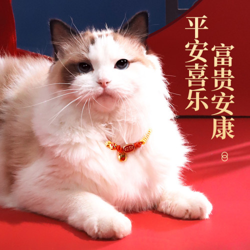 貓咪項圈貓鈴鐺新年裝飾可調節頸圈幼貓用品寵物圍脖狗狗脖子項鍊