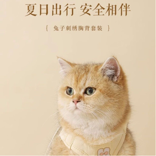 貓咪牽引繩寵物胸舒適背心式防掙脫貓繩子透氣可愛霤貓外出專用