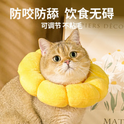 伊麗莎白圈貓絕育項圈防咬防舔貓咪脖圈頸圈頭套狗狗圍脖寵物用品
