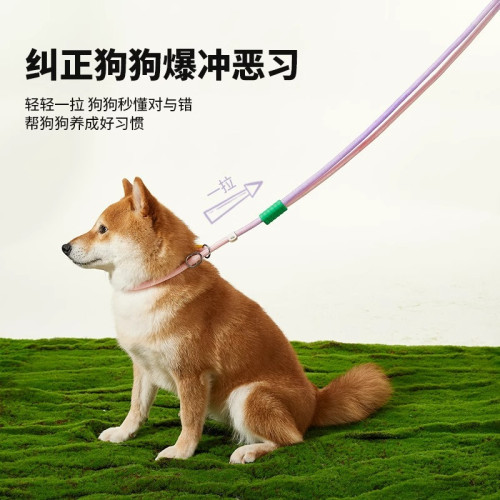 狗狗牽引繩防爆沖p繩中小型犬防掙脫P鏈大型犬拴狗繩套脖遛狗神器