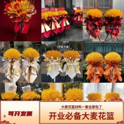 麥穗開業花籃大麥一對商場鮮花開張慶典diy喬遷三腳架布置禮物