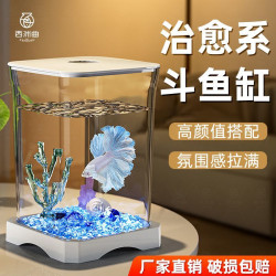 創意鬭魚生態養魚缸收納缸小型網紅造景桌面觀賞小夜燈小魚缸衣箱
