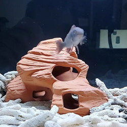 魚缸陶罐躲避屋造景活石三湖慈鯛躲避洞繁殖罐水草蝦屋蝦窩蝦瓷罐