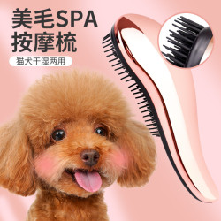 狗狗梳子泰迪梳毛專用寵物按摩梳蓬松洗澡神器小型犬比熊狗毛用品
