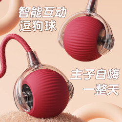 自動遛狗球狗玩具球耐咬自嗨寵物逗狗狗神器狗球小狗突突球跳跳球