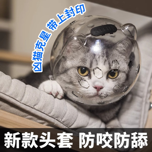 貓頭套貓咪伊麗莎白圈狗防咬太空頭罩洗澡剪指甲防抓防舔寵物神器