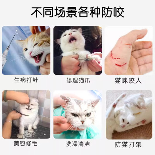 貓頭套貓咪伊麗莎白圈狗防咬太空頭罩洗澡剪指甲防抓防舔寵物神器