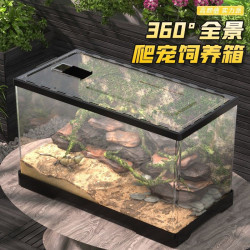 守宮鬃獅蜥蜴飼養箱 pvc角蛙蛇蜘蛛刺蝟爬寵飼養盒寄居蟹箱烏龜缸
