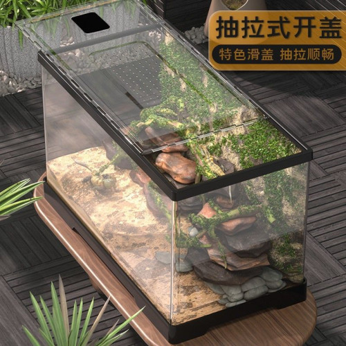 守宮鬃獅蜥蜴飼養箱 pvc角蛙蛇蜘蛛刺蝟爬寵飼養盒寄居蟹箱烏龜缸