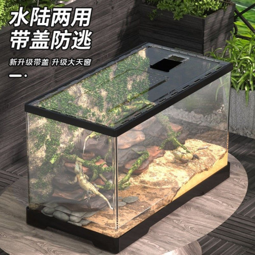 守宮鬃獅蜥蜴飼養箱 pvc角蛙蛇蜘蛛刺蝟爬寵飼養盒寄居蟹箱烏龜缸