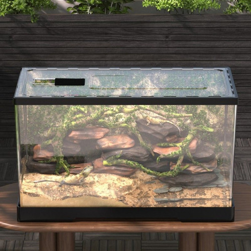 守宮鬃獅蜥蜴飼養箱 pvc角蛙蛇蜘蛛刺蝟爬寵飼養盒寄居蟹箱烏龜缸