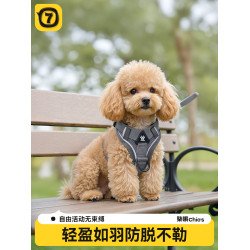 採購産品小狗狗皮帶，可調節的抗分離狗挽具，小型和中型狗泰迪比