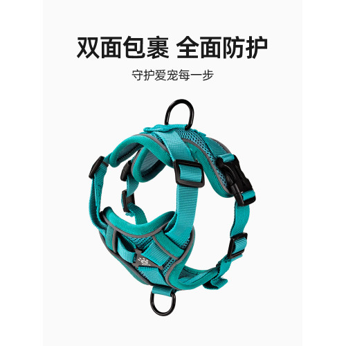 採購産品小狗狗皮帶，可調節的抗分離狗挽具，小型和中型狗泰迪比