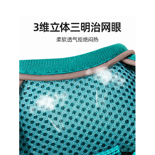 採購産品小狗狗皮帶，可調節的抗分離狗挽具，小型和中型狗泰迪比